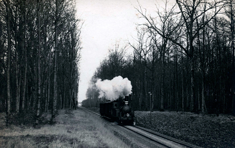Billede af toget hvor det kører igennem skoven